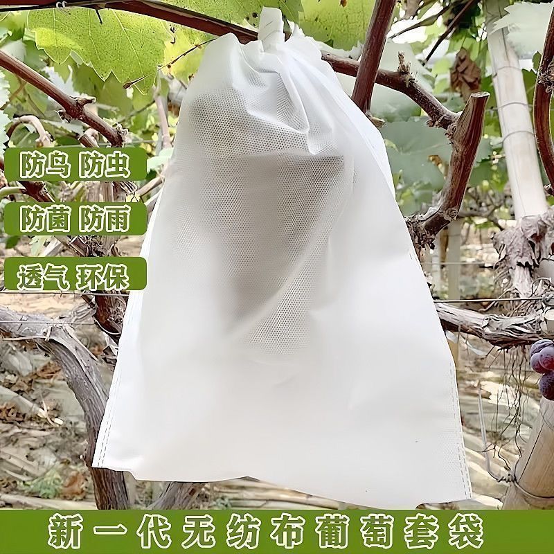 Fruit Bag Insect-Proof Bag Grape Loquat Loquat Mesh Bag Non-Woven Fabric Bird-Proof Melon Fruit Peach Strawberry Bagging Universal Bag