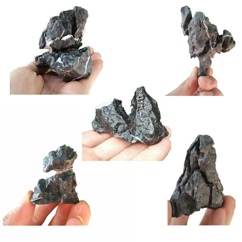 Moss Micro-Landscape, Succulent DIY Ornaments, Gardening Decoration, Rockery Stones, English Stones, Blue Dragon Stones, Landscape Stones