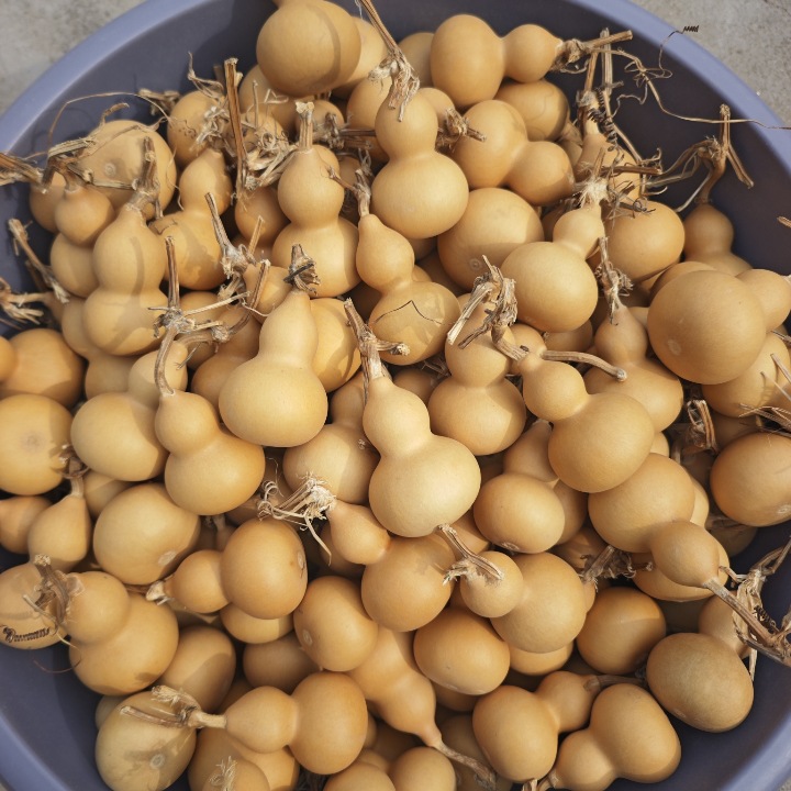 Small Gourds Wholesale Liaocheng Natural Gourd Crafts Gourd Hand-Twisted Gourd Direct Sales from the Source Manufacturer