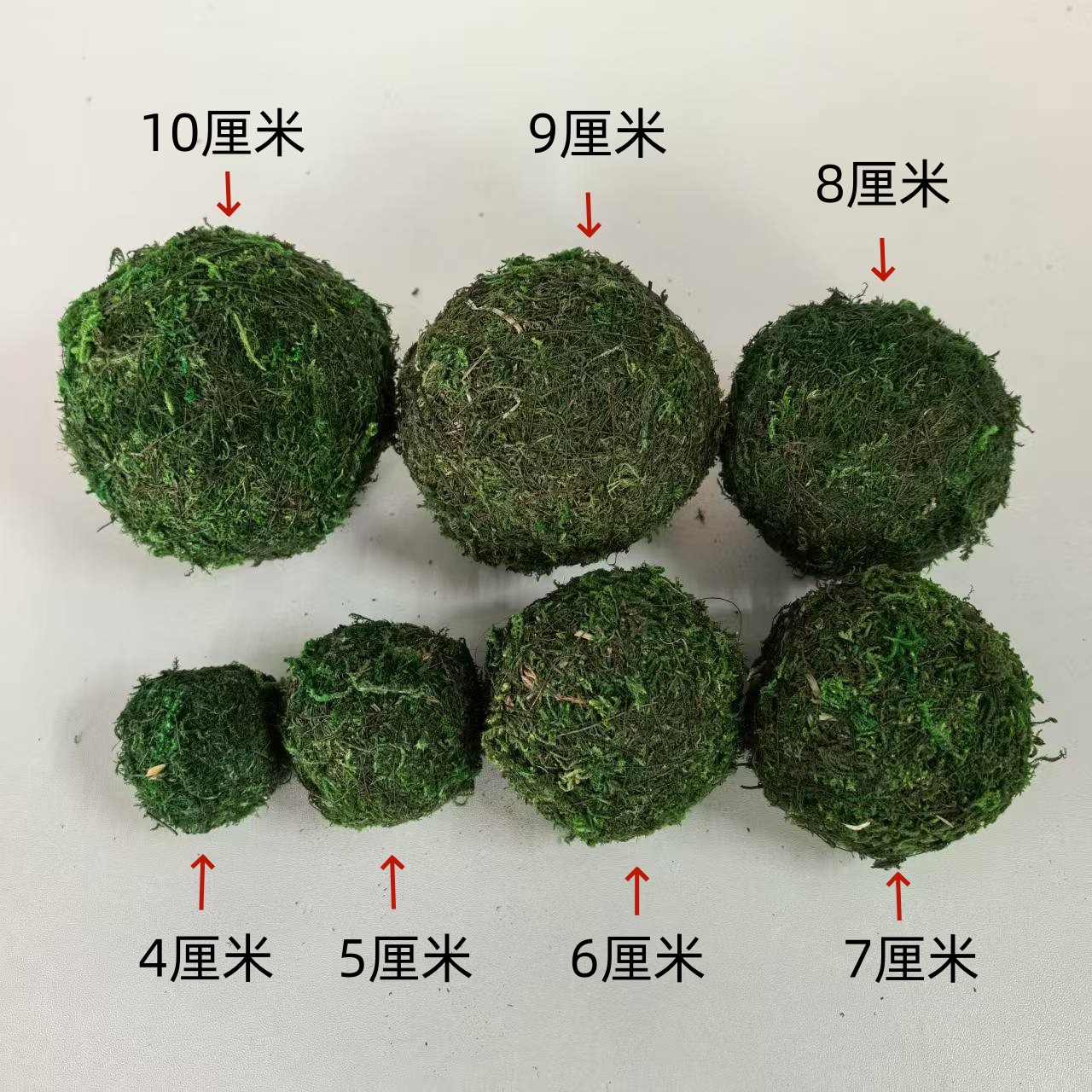 Supply moss ball exported to Japan and Europe gardening Moss flowerpot potted grass ball dried flower ball dried flower