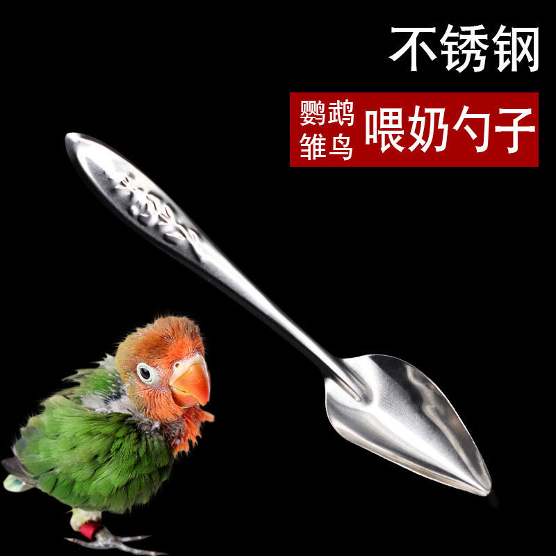 Ложка для кормления попугаев, специальная, из нержавеющей стали, ложка для молочной смеси