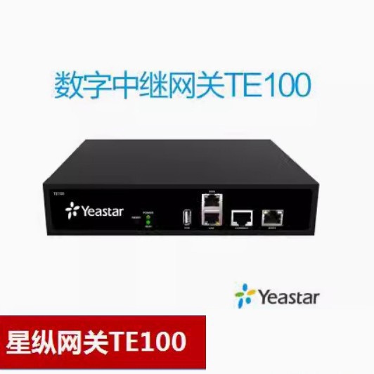 Yeastar Star/Longview Te100 Te200 Digital Relay Voice Gateway E1/T1/J1/Pri Gateway