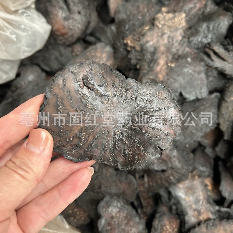 Inner Mongolia Alxa CistancheDeserticola Xinjiang Soft Deserticola Cynomorium Cynomorium                                       C