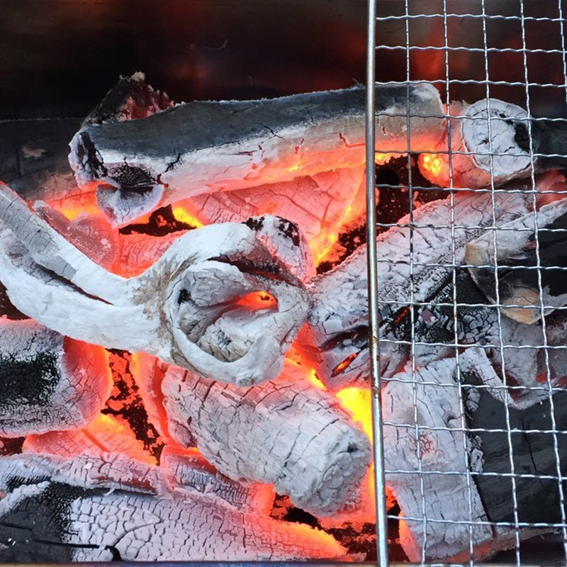 Huozhuyuan Fruit Charcoal Barbecue Carbon Apple Wood Smokeless Household Barbecue Charcoal Hot Pot Charcoal Combustible Carbon Factory Direct Sale