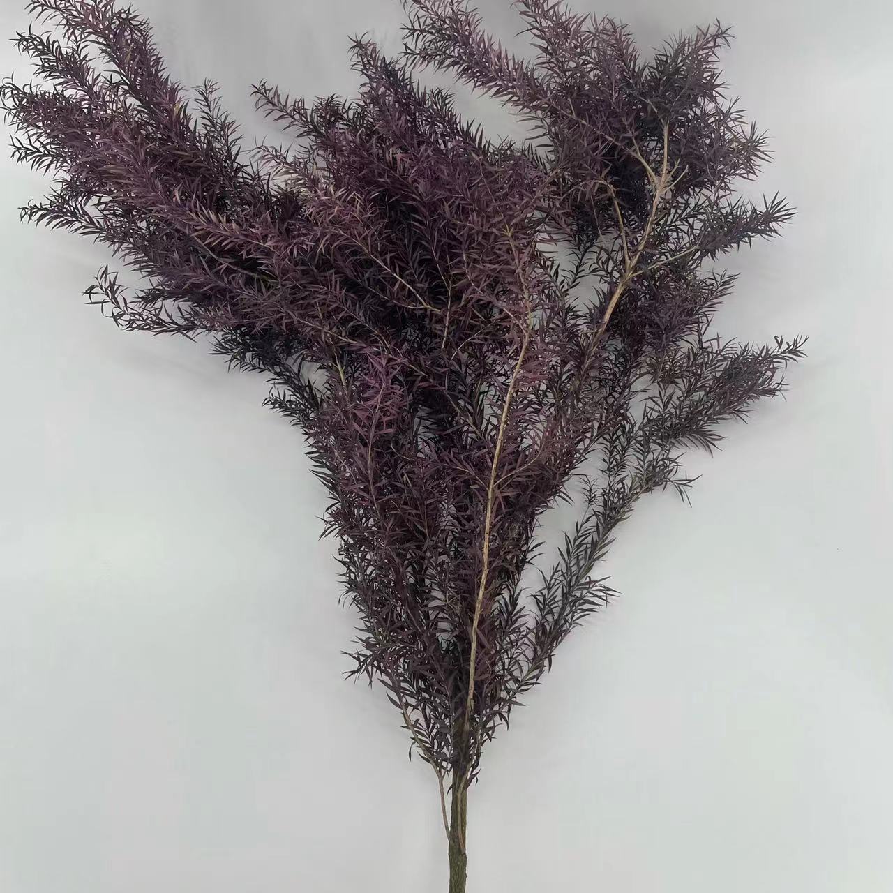 Preserved Mille Layer Gold Flowers, Preserved Flowers and Leaves, Mille Layer Gold Bouquets with Materials, Flower Arrangements and Decorations, Yunnan Factory Wholesale