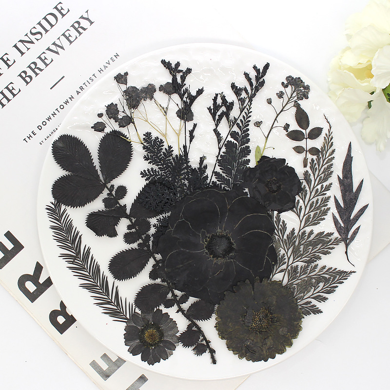 Черная цветочная фабрика прямые сушеные цветы рельефная черная серия образцов растений настоящие цветы листья цветочный материал пакет