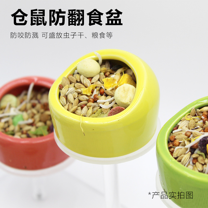 Hamster Food Basin Golden Bear Parrot Squirrel Hedgehog Anti-tip Anti-splash Bowl Feed Box Pet Supplies
