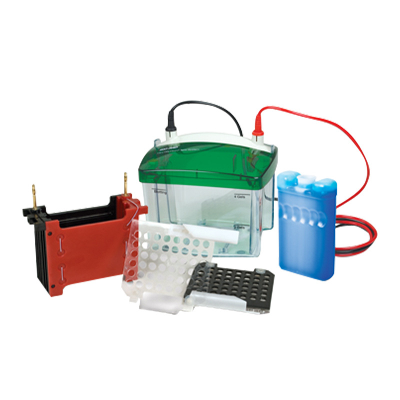 Bole Electrophoresis Tank First Grade Agent American Bole BIORAD Vertical Electrophoresis Tank Electrophoresis Instrument Transfer Tank Protein Tank