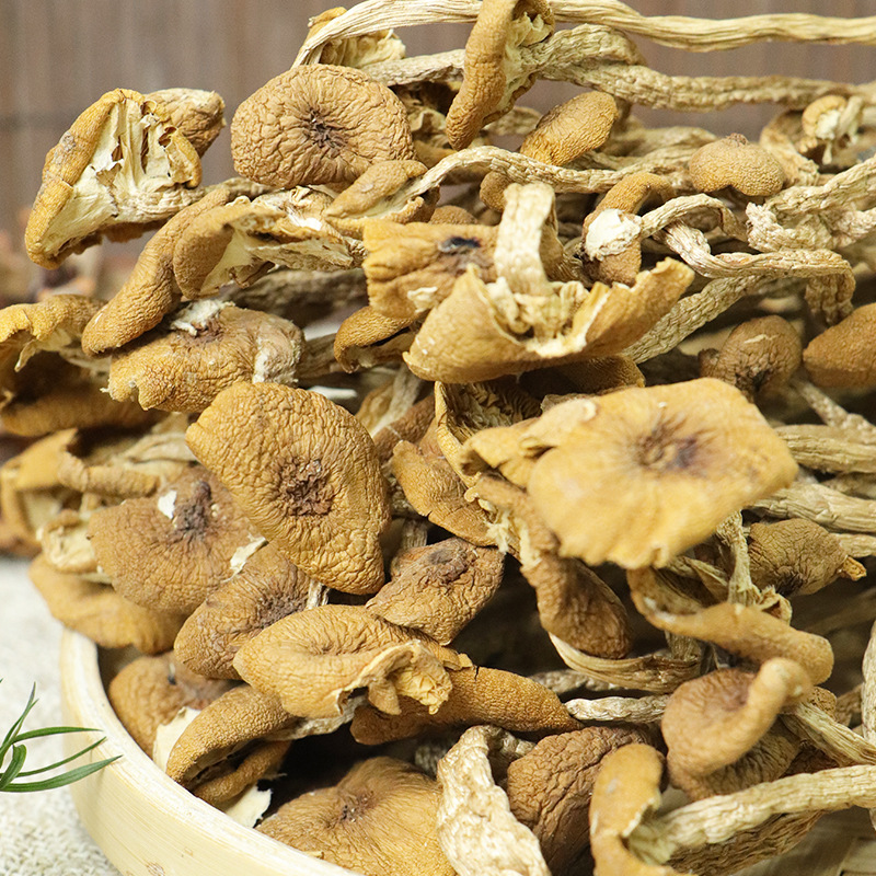 Dry tea tree mushroom 150g factory wholesale umbrella edible fungus mushroom soup material a generation of hair