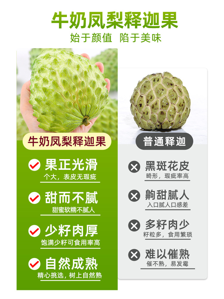 Fresh Sakyamuni Fruit 2.5kg Large Eye Pineapple Milk Buddha Head Fruit Ringo Moni Fruit Seasonal Fruit Sf Express