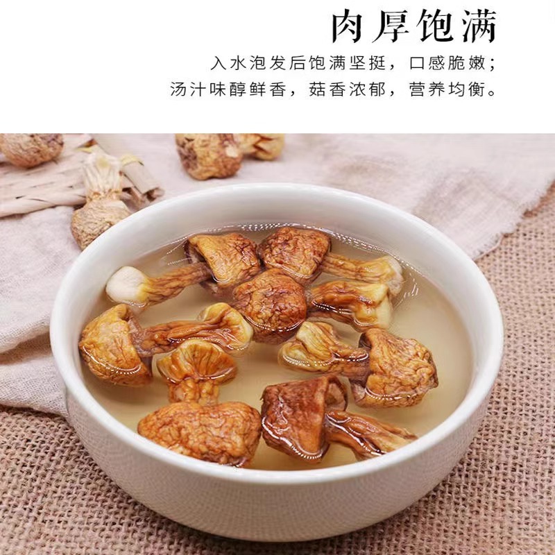 Agaricus blazei dry goods Yunnan specialty edible wild mushroom mushroom matsutake 500g postage (250gX2 bags)