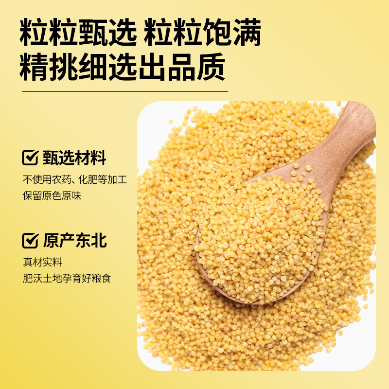 Organic Millet 400g Vacuum Bag Source Factory Northeast Yellow Millet New Rice Porridge Millet Grains Bulk Batch