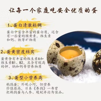 Fresh Quail Eggs and Multigrain Feeding, 100 Nutritious and Delicately Flavored Poultry Eggs Picked up and Shipped Now