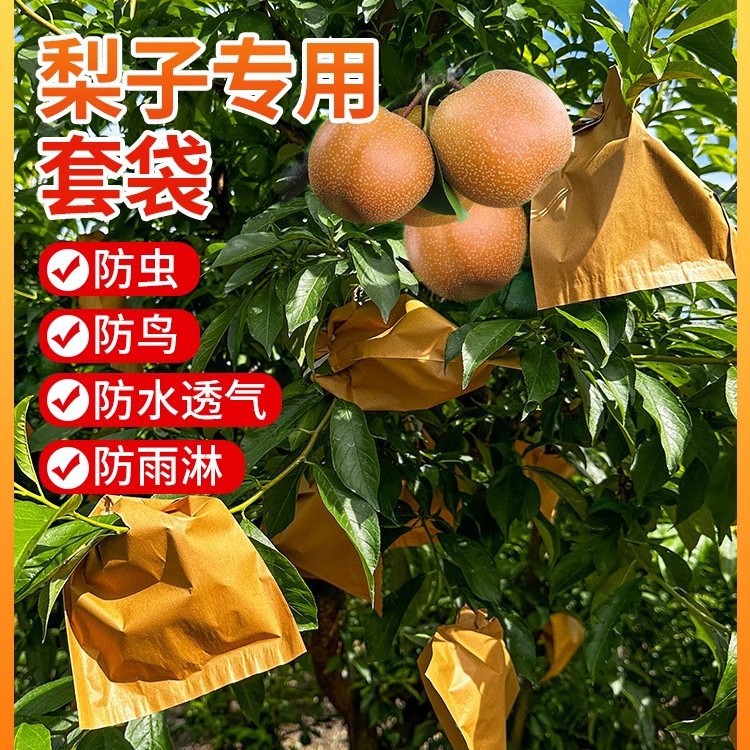 Специальные мешки для груш, мешки для персиков и манго, водонепроницаемые, защищенные от насекомых и птиц мешки для фруктовых деревьев, мешки для лонгана, груш и манго