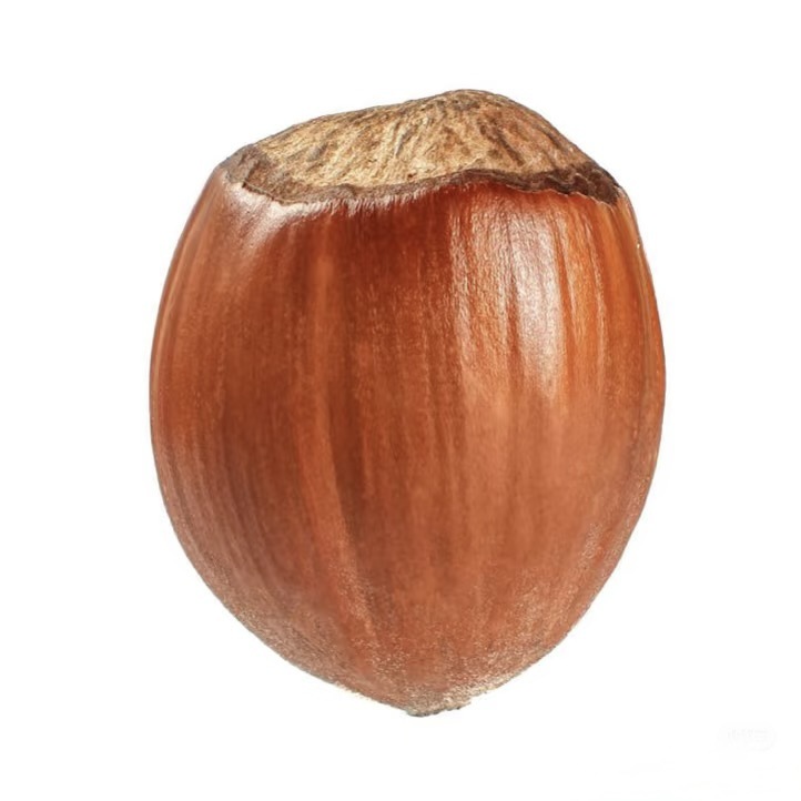 Hazelnuts Are a Specialty of Northeast China, Fresh, Shelled, Large Hazelnuts with Thin Shells, Roasted, Large Kernels, Original Flavor, No Additives, Nuts