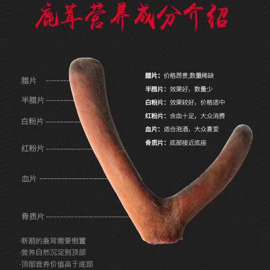 Antler tablets wholesale Northeast Jilin antler red powder tablets blood tablets wax tablets antler dried tablets gift sparkling wine antler