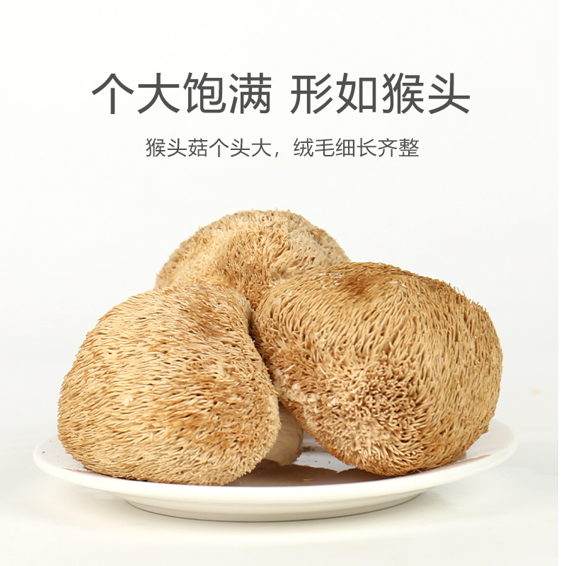 Gutian Hericium erinaceus dried goods 500g soup Jiapin new goods smoked sulfur-free Hericium erinaceus powder dried mushroom wholesale bulk