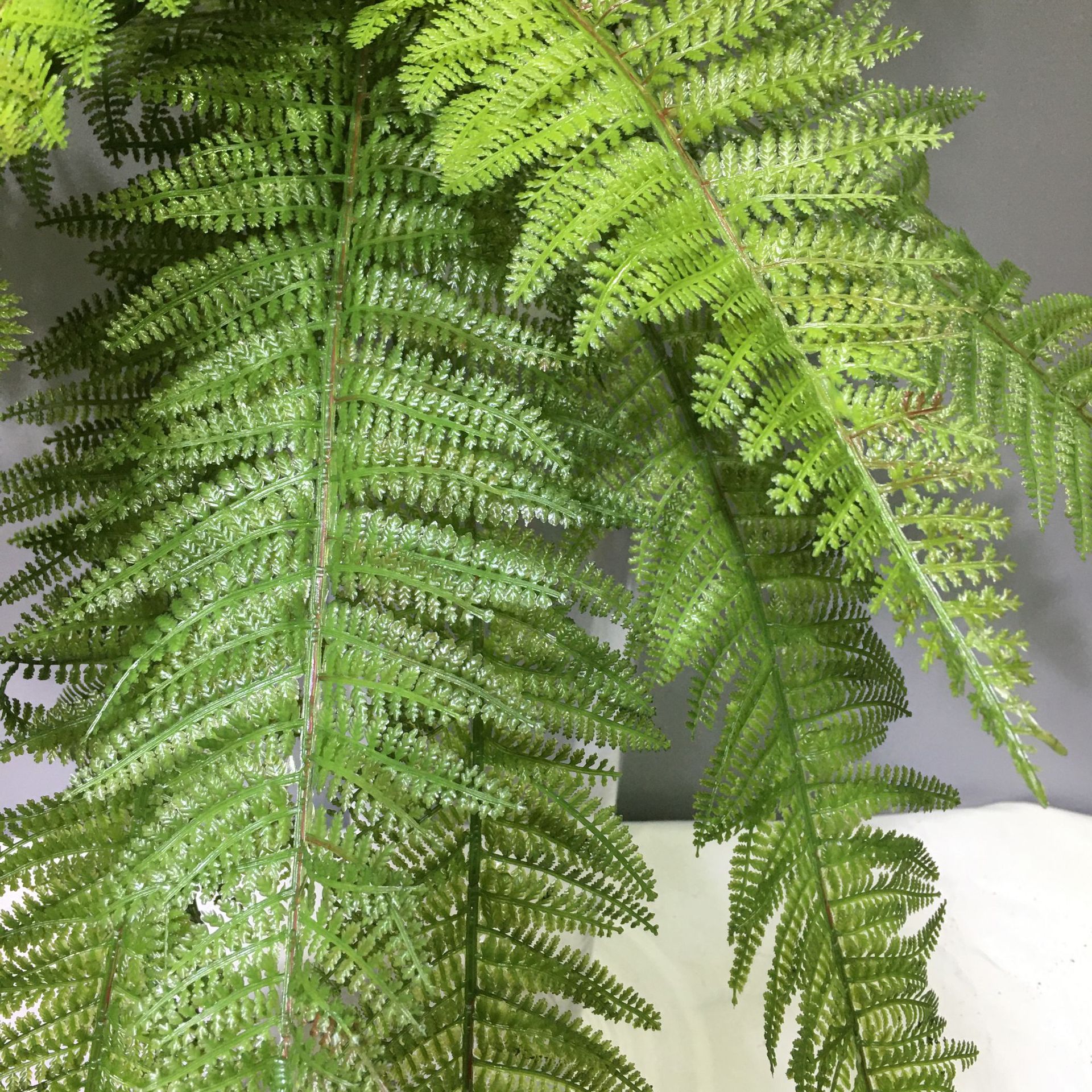 Simulated Large Persian Leaf Wall Hanging Fern Leaf Plant Wall Green Plant Landscaping Double-Layer Fine-Toothed Plastic Fern Leaf Shopping Mall Layout