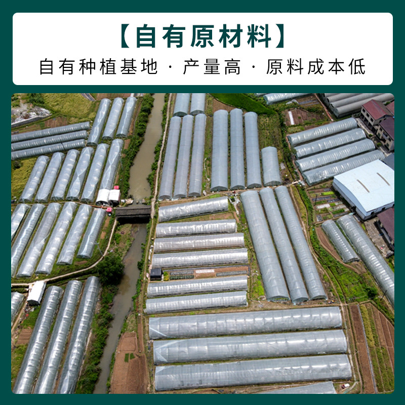 Bamboo Fungus Dry Goods Sulfur-Free Thick Meat Source New Goods Wholesale Soup Mushroom Specialty Set Factory Direct Sales