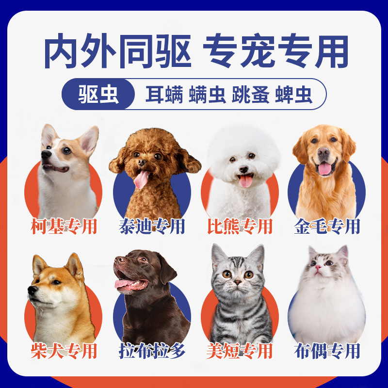 Pet Insect Repellent for Dog and Cat Extracorporeal Insect Repellent for Fleas, Ticks and Lice Abamectin Drops