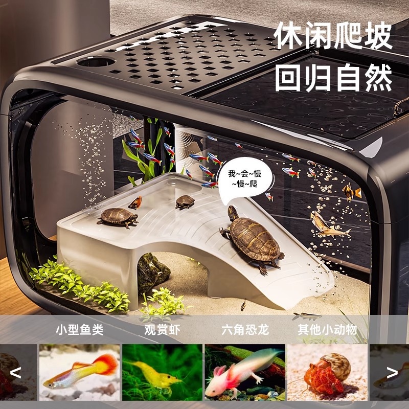 Betta Fish Tank Home Living Room 2025 New Ecological Landscaping Desktop Goldfish Tank with Climbing Platform Small Turtle Tank Wholesale