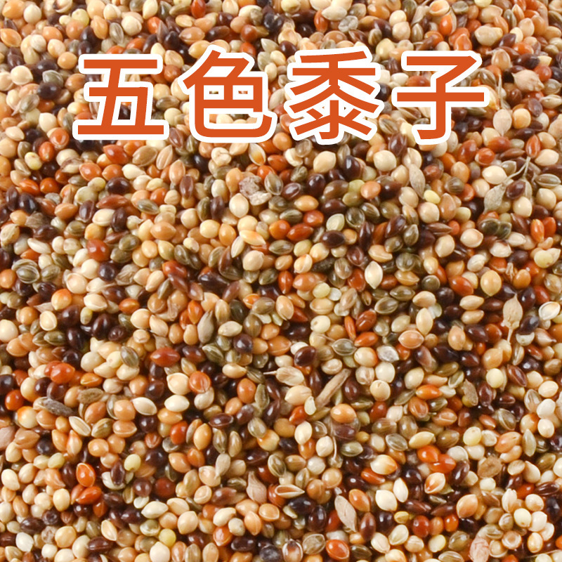 Parrot Feed Bird Food Bird Food Tiger Skin Black Phoenix Small Sun Feed Mixed Grain Bird Feed Five-Color Millet 1200ml