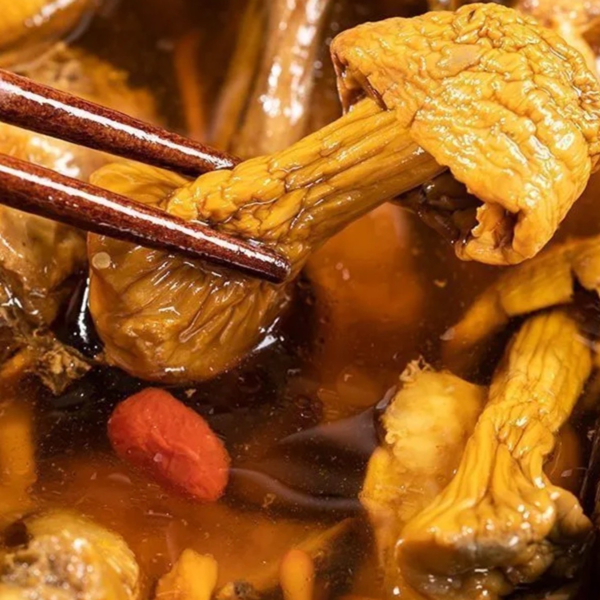 Agaricus blazei dry goods fresh Agaricus blazei non-Yunnan specialty matsutake soup ingredients household seasonal new