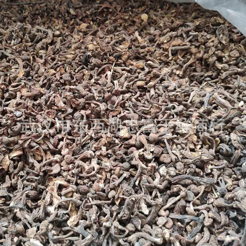 Northeast wild fungus hazel mushroom 500g chicken stewed mushroom dried goods wholesale hazel mushroom soup fungus bag