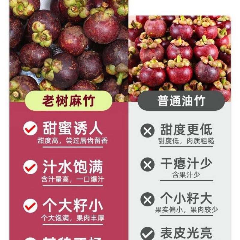 Taishan Bamboo Fresh Large Fruits Whole Box Seasonal Fruit Sf Free Shipping Seasonal Large Fruit Oil Bamboo and Hemp Bamboo