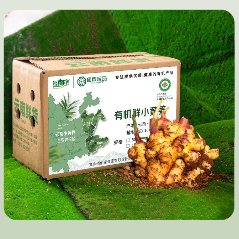 Organic Fresh Ginger with Mud 2.5Kg/Box Yunnan Organic Fresh Turmeric Supports One Piece Dropshipping and Direct Sales from the Origin