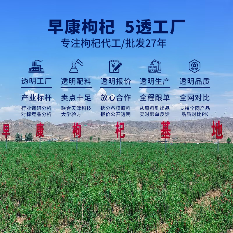 Zaokang Premium Grade a Goji Berries Good Morning Ningxia Dried Goji Berries Wholesale Bulk Red Goji Berries