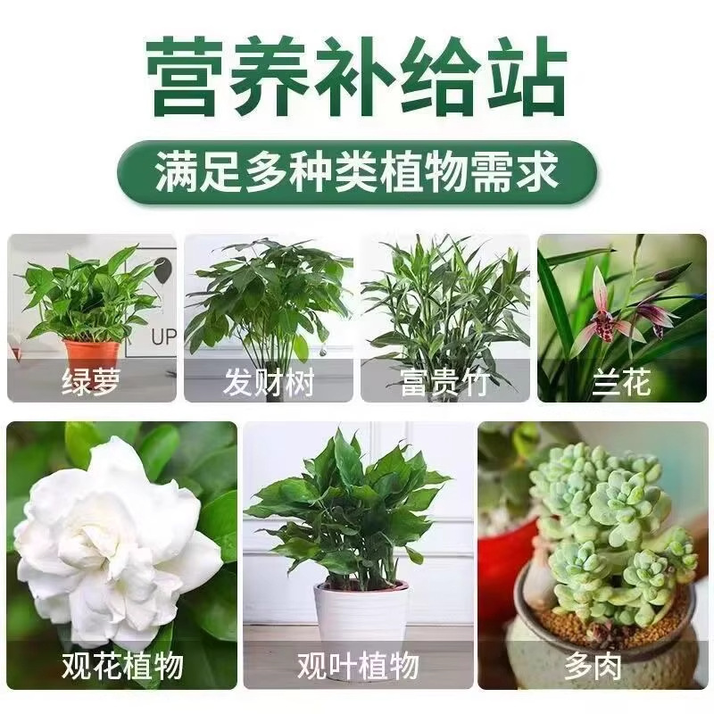 Manufacturer Wholesale Plant Nutrient Solution Universal Dilution-Free Fertilizer Soil Culture Small Bag Pothos Money Tree Rich Bamboo