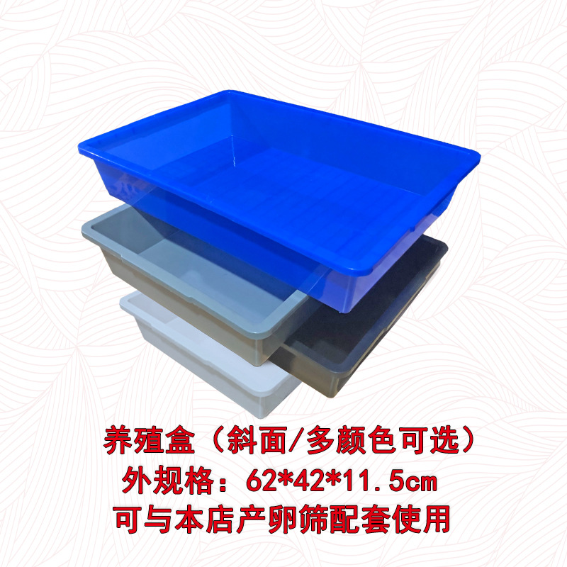 Protein Worm Breeding Box, Mealworm Breeding and Breeding Box, Barley Worm Hatching Tray, Mealworm Breeding Box