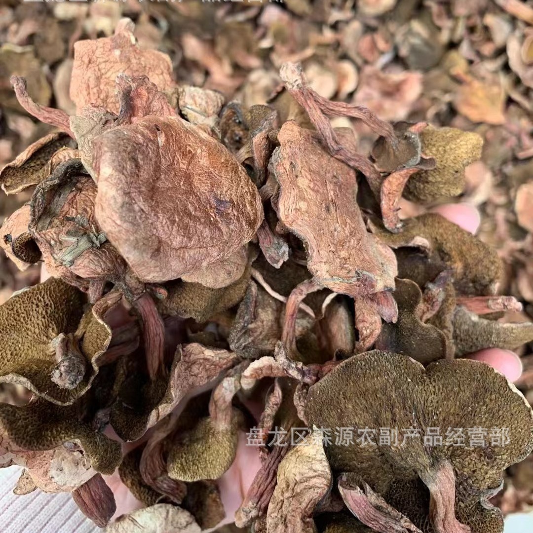 Pure wild Boletus dry goods red milk Boletus Yunnan local specialty pine mushroom red sticky ball in stock wholesale free shipping