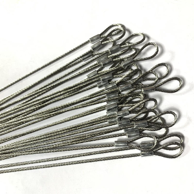 Factory Direct Sales of Stainless Steel Wire Rope, Plastic-Coated Wire Rope, Aluminum Sleeve Terminal, Pressed Anti-Fall Safety Rope, Buckle, Lifting Rope