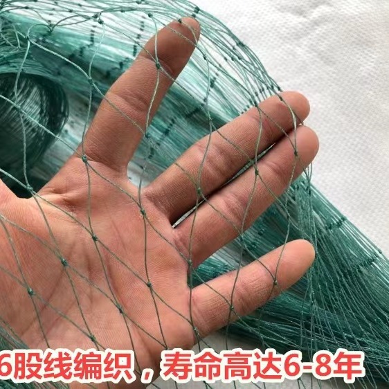 Factory direct anti-bird net nylon net frog breeding anti-escape net Bullfrog purse seine fish pond loach Sky Net