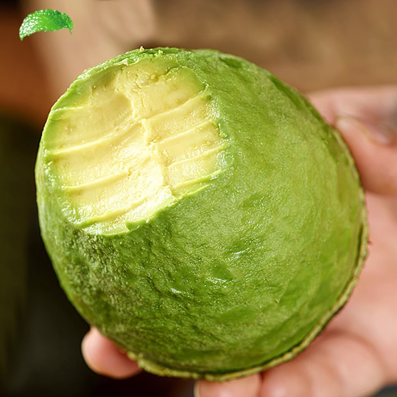 [All Year Round] Yunnan Hass Avocado Wholesale, Giant Avocado, Creamy Fruit, Seasonal Fresh Fruit