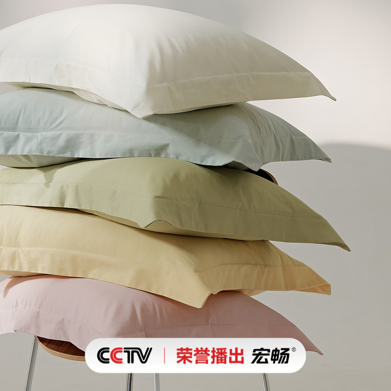 100 Cotton Sanding Quilt Cover Autumn and Winter Thickened Solid Color Simple Xinjiang Long-staple Cotton Bed Sheet Pillowcase