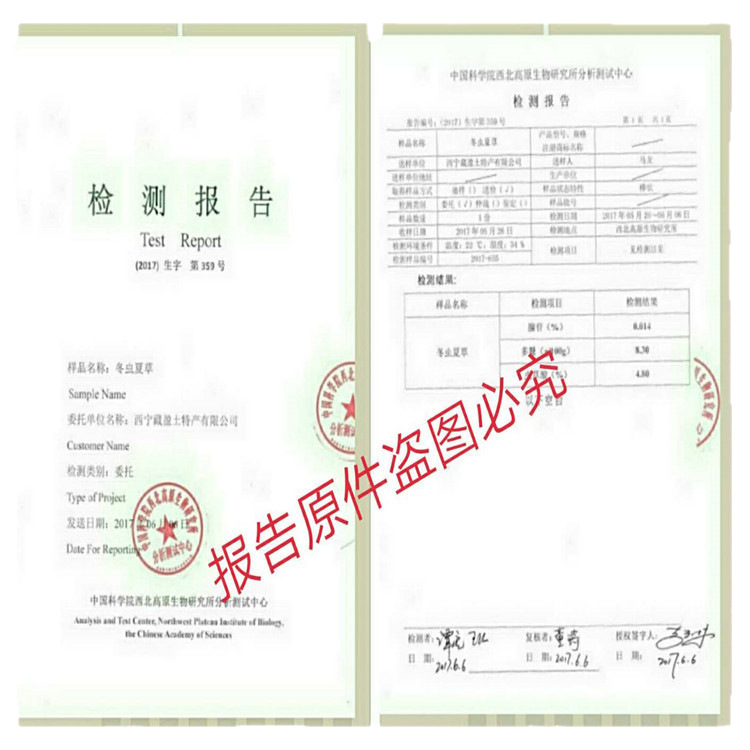 2025 Zang Yingtang Qinghai Fresh Cordyceps Sinensis 0.3-0.6g, the Minimum Order of a Gift Box