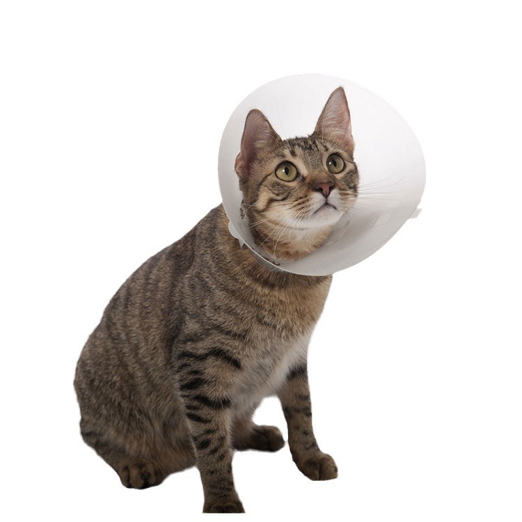 Pet Elizabeth Ring Dog Protective Cover for Medical Surgery Headgear Anti-scratch Anti-licking Ring Cat Shame Ring