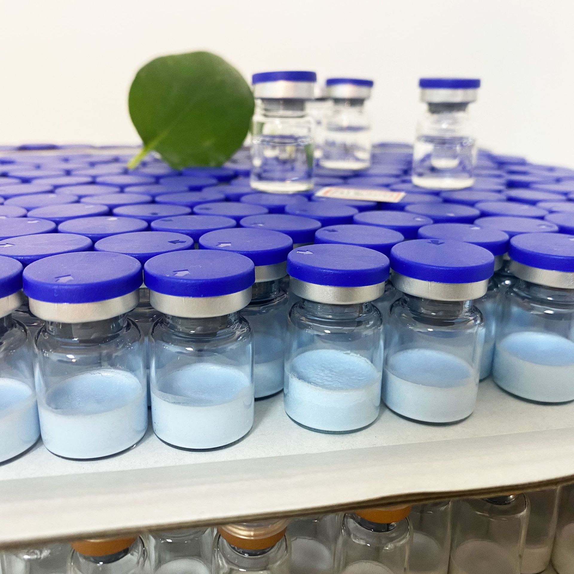 Jinan Blue Copper Peptide Freeze-dried Powder Reliving and Repairing Sensitive Muscle to Red Blood Shroud Beauty Salon Freeze-dried Powder Brand Wholesale