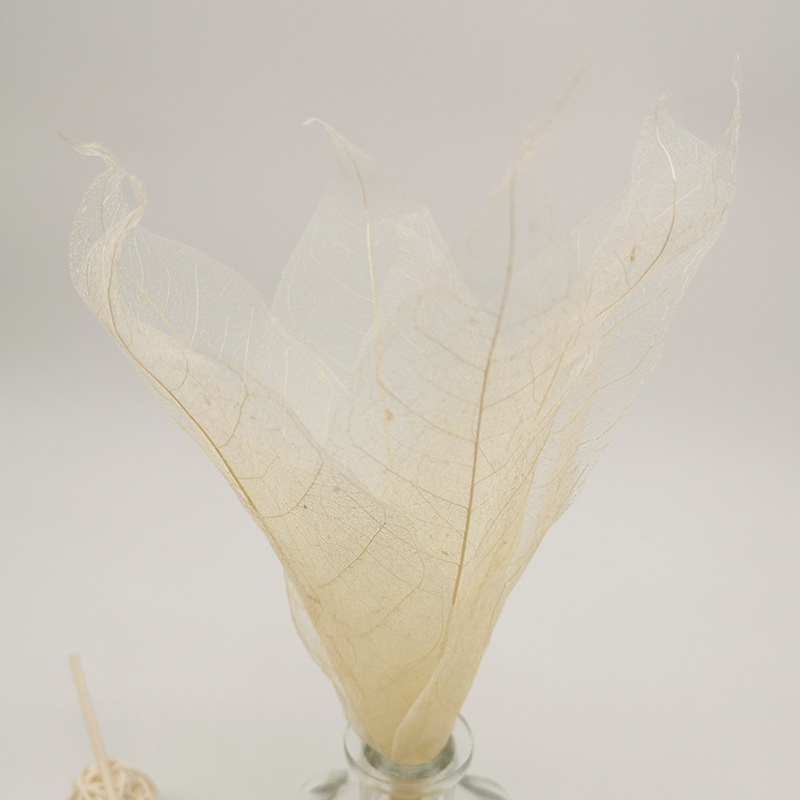 Direct Sale from the Manufacturer: Aromatherapy Leaf Vein Flower Diffuser Sticks, Dried Flower Fragrance Essential Oil Diffuser, Long-Lasting Scent, Deodorizer for Indoor Use