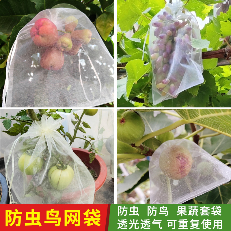 Spot Fruit Bagging, Insect-Proof Mesh Bag, Transparent Drawstring Mesh, Grape Breathable Drawstring Bag, Fruit Protection Bag