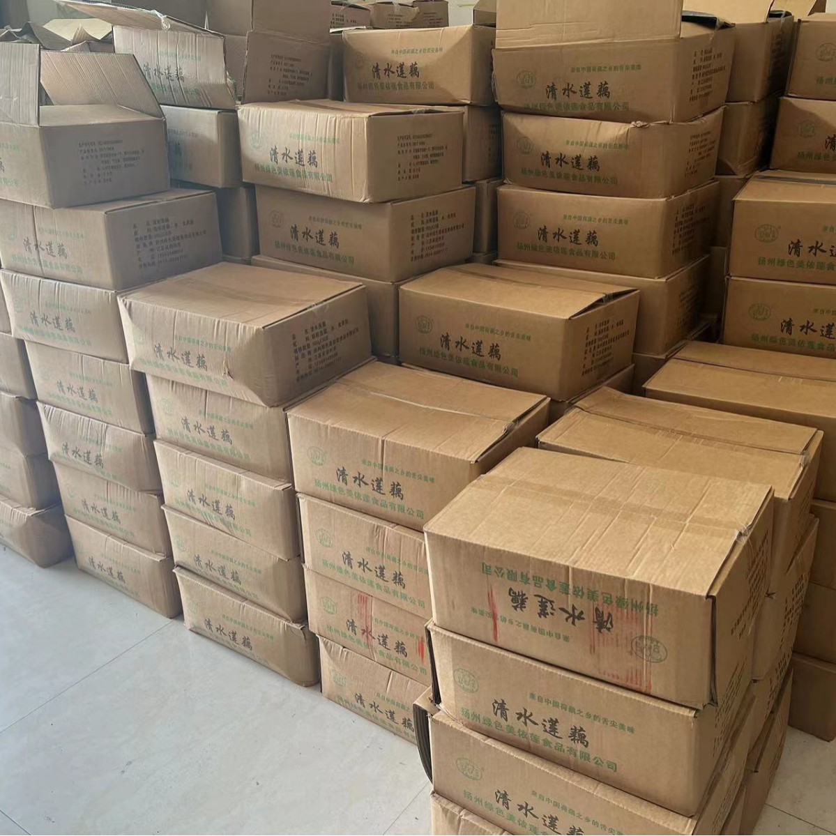 Clear Water Lotus Root Slices 500g Wholesale Fresh Hot Pot Spicy Hotpot Skewers Fried Cold Catering Ingredients