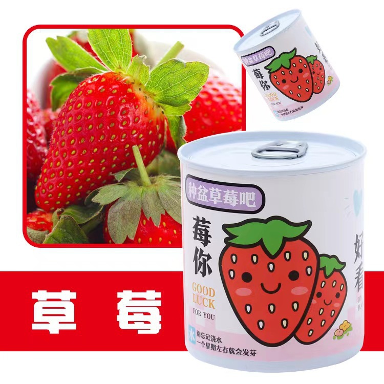 Can Desktop Small Potted Plant Blind Box Kidsren's Green Plant Seeds Primary School Students Award Variety Plant Planting Box