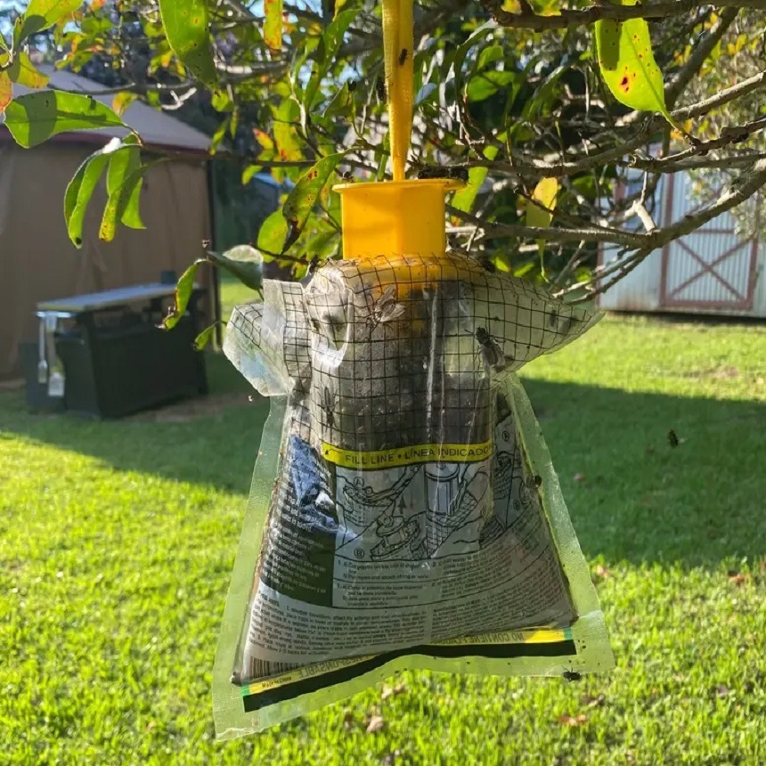 Regular Spot Fly Bag Fly Trap Fly Cage