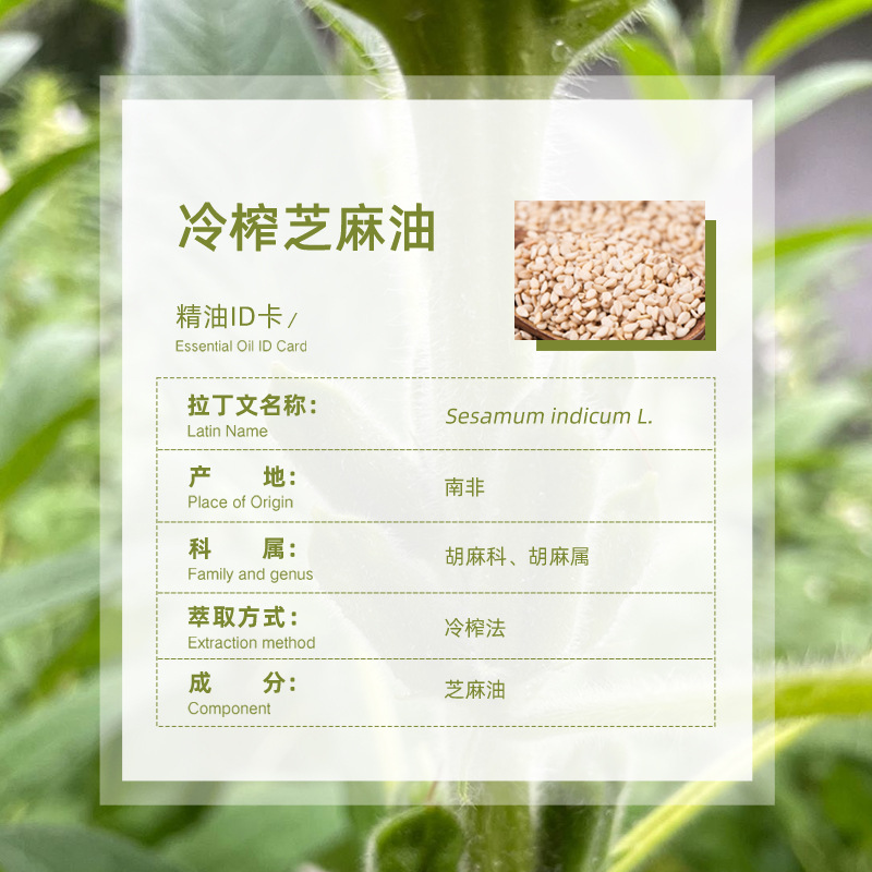 Origin direct supply South Africa cold pressed sesame oil cold pressed pure aromatherapy skin care raw materials wholesale base oil cold pressed sesame oil
