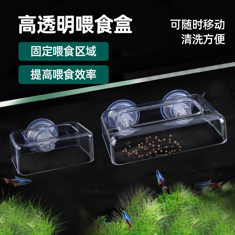 26-Year New Model Fish Tank Feeder Aquarium Transparent Acrylic Fixed-Point Anti-Floating Feeding Box Feeding Ring