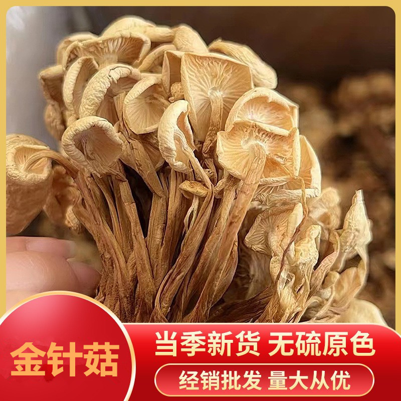 Выставочные продукты сушеных грибов эноки 2025 года