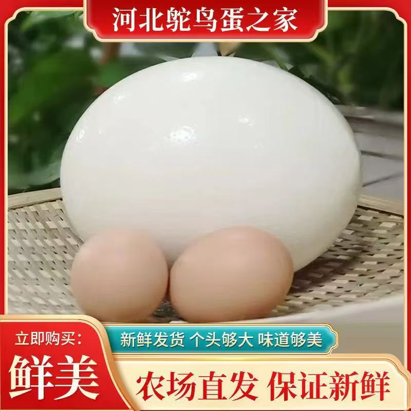 Свежие страусиные яйца, домашние яйца птицы, яйца динозавров, невысиженные страусиные яйца, яйца для праздника летнего солнцестояния, свежепроизведенные и отправленные